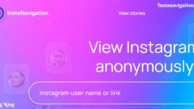 Your Gateway to Anonymous Instagram Story Viewing.