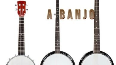 How Many Strings Does a Banjo Have