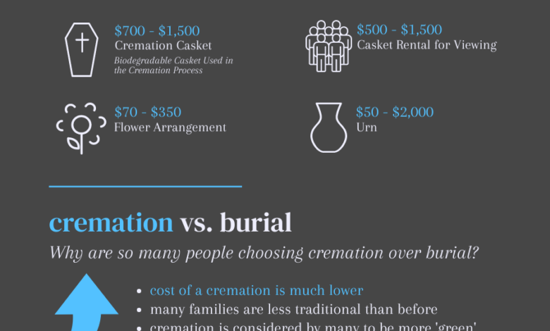 How Much Does Cremation Cost Without Services