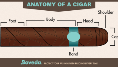 How to Cut a Cigar