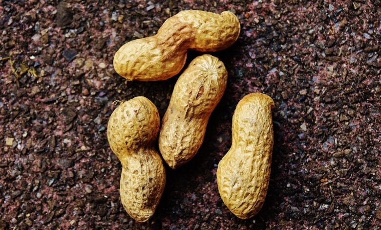 How Do Peanuts Grow