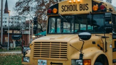 How Long is a School Bus