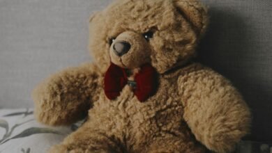 How to Wash Stuffed Animals